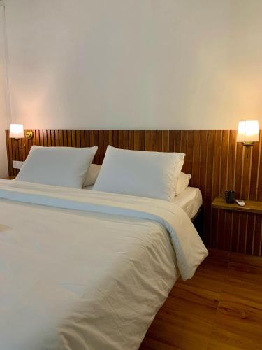The Alcove Bed and Breakfast in Dimapur