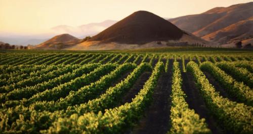 Tropical Retreat Close to Beach in Grover Beach
