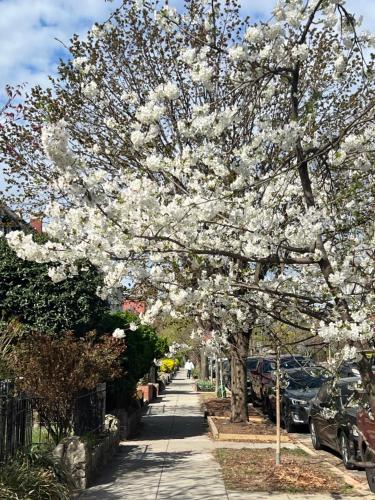 Ammas Place in Washington, USA