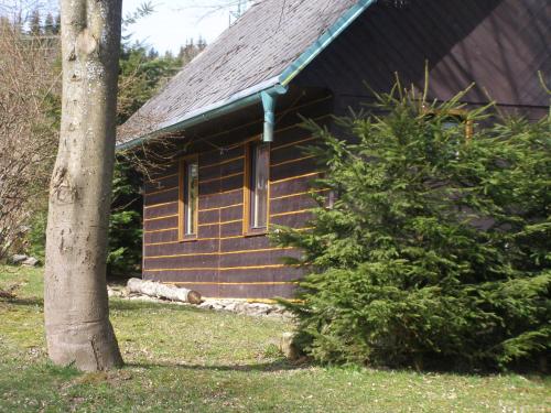 Chata Dvorečná - Chalet - Loučovice