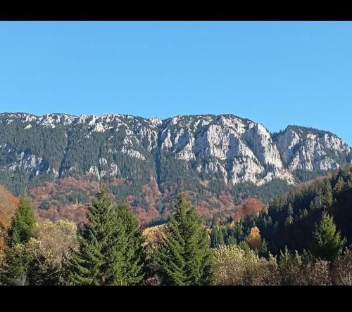 Casa Rania si Ayan Sătic Rucăr