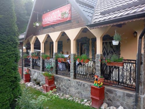 Casa Rania si Ayan Sătic Rucăr (Casa Rania si Ayan Satic Rucar) in Dimbovičioara