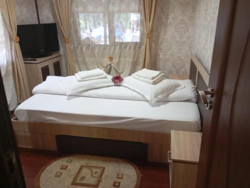Casa Rania si Ayan Sătic Rucăr (Casa Rania si Ayan Satic Rucar) in Dimbovičioara