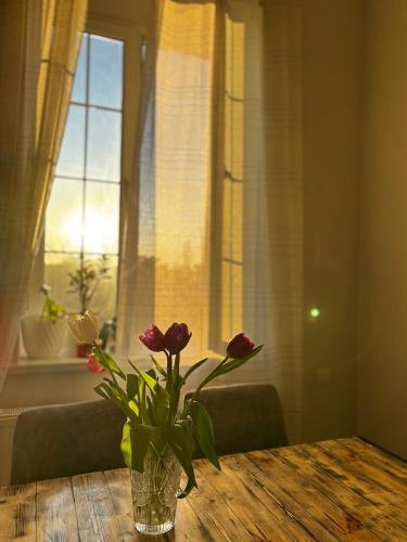 ELAY Apartments, Baku