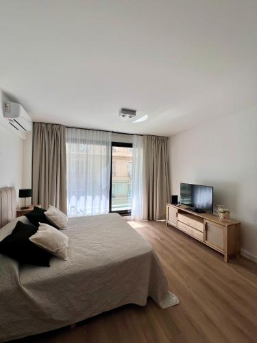 One-Bedroom Apartment image 5