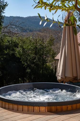 Polana Słowikowa 5 star- domek w górach z jacuzzi, sauna,basen,ogród z lasem, kominek i narty