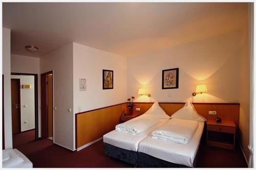 Hotel Zur Linde Room Type - Double Room