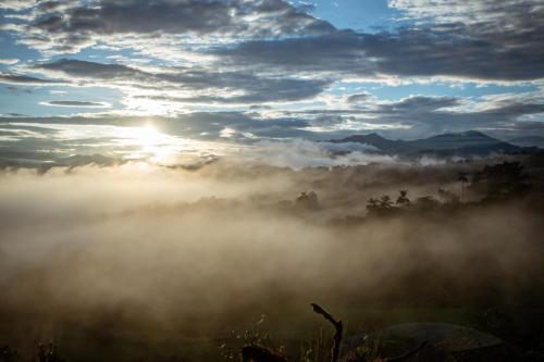 Surrounding environment, Choco 701 La Reserva- Casa Huaicundo in Nanegalito
