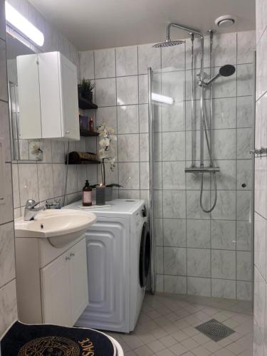 Top floor Helsfyr city central apartment, Oslo (zdjęcie 9)