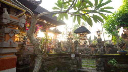 Villa Kalisat Resort – Ubud, CO