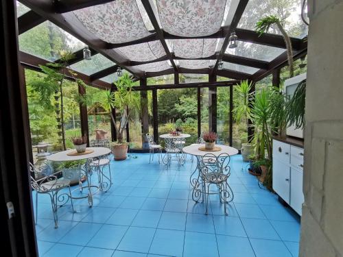 Ekosamotnia - image 13