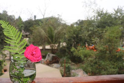 Atash Eco Village Homestay Van Hoi - 전망