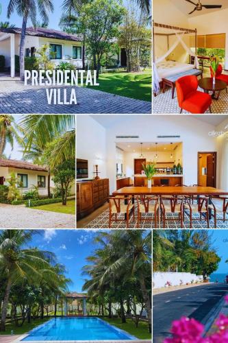 Coco Presidential Villa & Homestay - 숙소 외관