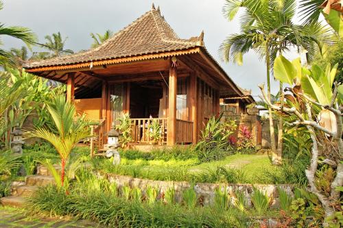 Belvilla Moksha Ceking Rice TerraceNearUbud Jungle Swing