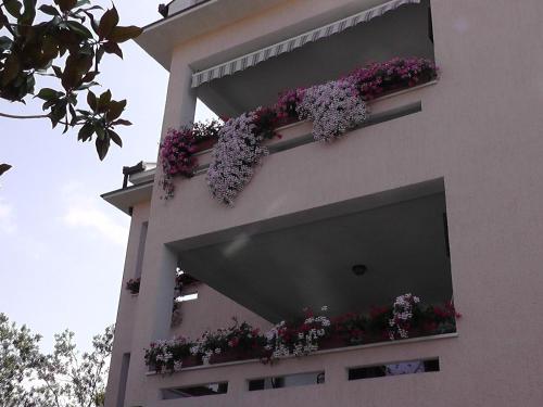 Apartments Lavanda 2 - image 5
