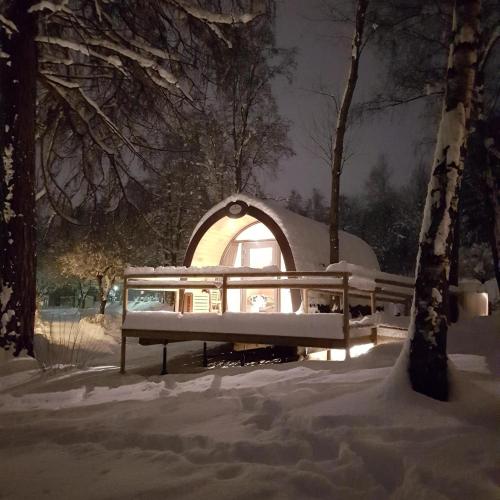 Ferienparadies Natterer See Room Type - Panorama Wood Lodge