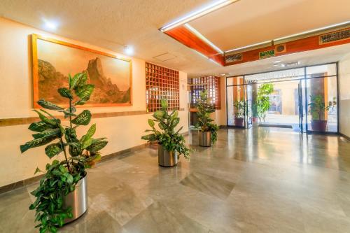 OYO Hotel Hidalgo - 로비