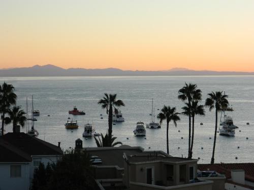 View, Aurora Hotel in Avalon (CA)