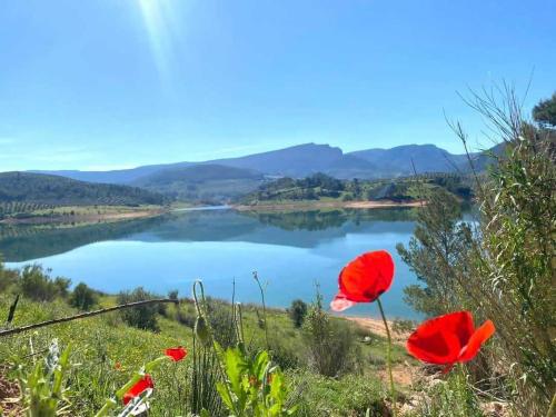 Los Duendes By Travel Home in Puente De Genave