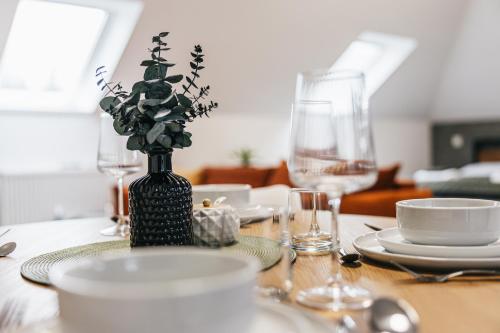 Apartmány Petra Voka (Apartmany Petra Voka) in 特熱邦市中心