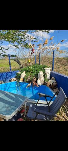 Garden, Sampiyon butik otel in Altınova