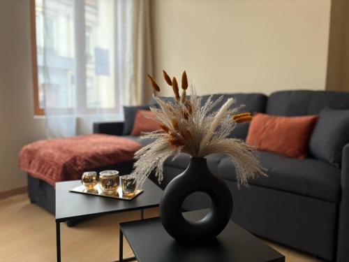 Au Courant d'Aire! - Location saisonnière - Aire-sur-la-Lys