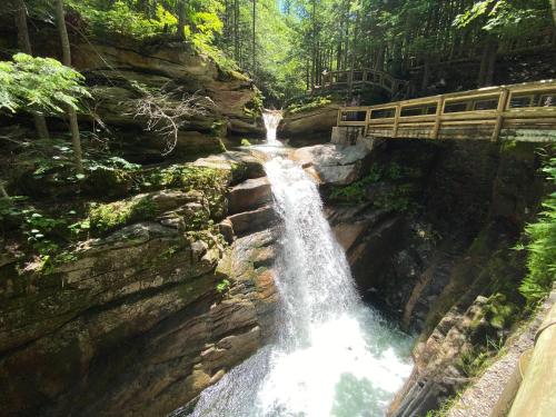FV50 Pet friendly single level home in Bretton Woods walk to golf course and Mt Washington Hotel - image 9