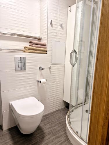 Modern Apartment suitable for longstays, Riga (foto 9)