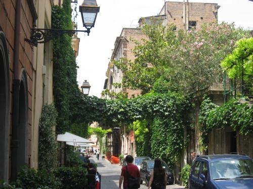 Margutta's Garden - image 11