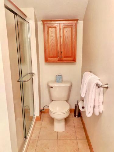FC44 Renovated 3bed 3bath Forest Cottage AC views yard fast wifi Walk to skiing FC44 Renovated 3bed 3bath Forest Cottage AC views yard fast wifi Walk to skiing
