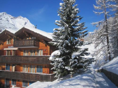 Haus Marico - main image