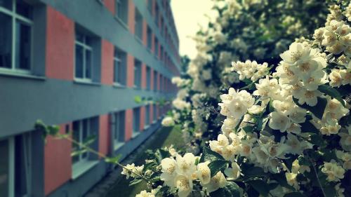 Utvendig, Szkolne Schronisko Młodzieżowe Sezonowe nr 3 (Szkolne Schronisko Mlodziezowe Sezonowe nr 3) in Olsztyn