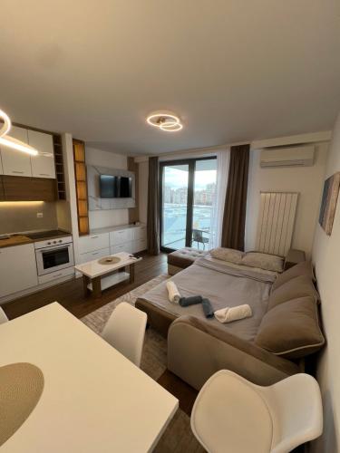 LiboroPlanet in نيس