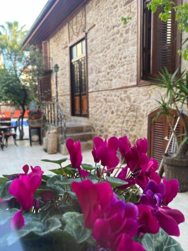 White Garden Hotel - image 2