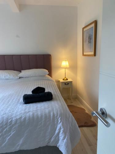 Modern Rural Idll gîte à louer Ballydullaghan