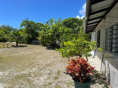 Chez Guy , chambre familiale in Rangiroa