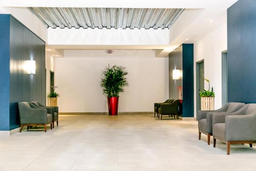 ロビー, Commodore Suites in シンプソンベイ