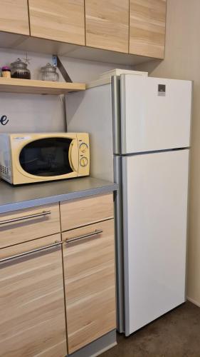virtuve, Mobil Home Kessler A022, Europa Park, Rulantica in Friesenheim
