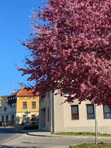 ทัศนียภาพภายนอกโรงแรม, M18 - Csak egy lépés a történelmi belváros - free parking (M18 - Csak egy lepes a tortenelmi belvaros - free parking) in เตตเย