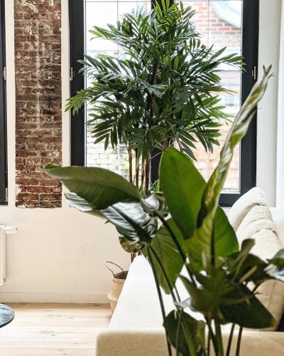 Gigi Homes, Antverpy (fotografie 4)