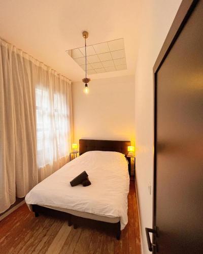 Gigi Homes, Antverpy (fotografie 6)