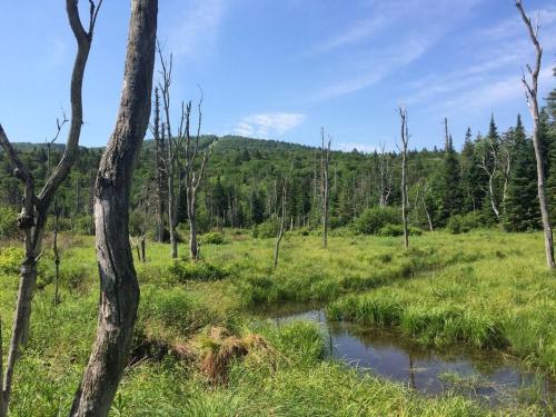 1800ML - As Seen on TV 1 mile from skiing great views hot tub fire pit beach Pool gym passes