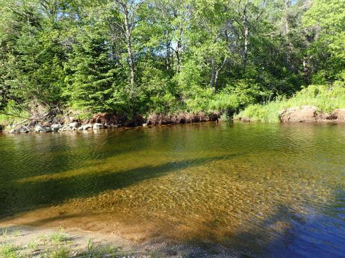 1800ML - As Seen on TV 1 mile from skiing great views hot tub fire pit beach Pool gym passes 1800ML - As Seen on TV 1 mile from skiing great views hot tub fire pit beach Pool gym passes