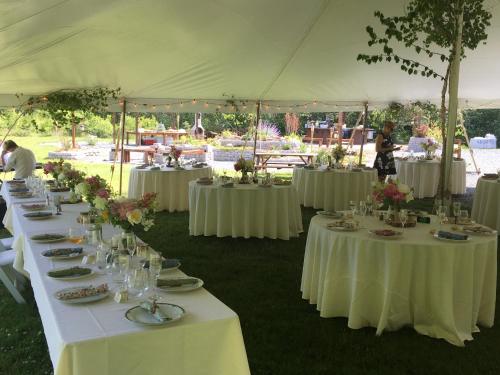 1800ML - As Seen on TV 1 mile from skiing great views hot tub fire pit beach Pool gym passes 1800ML - As Seen on TV 1 mile from skiing great views hot tub fire pit beach Pool gym passes