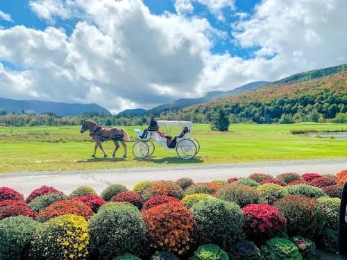 1800ML - As Seen on TV 1 mile from skiing great views hot tub fire pit beach Pool gym passes 1800ML - As Seen on TV 1 mile from skiing great views hot tub fire pit beach Pool gym passes