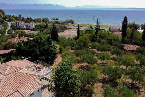 Villa Conel