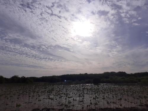 Jusula Beach Bungalows, Sanyang Beach, Free Wifi in Sanyang