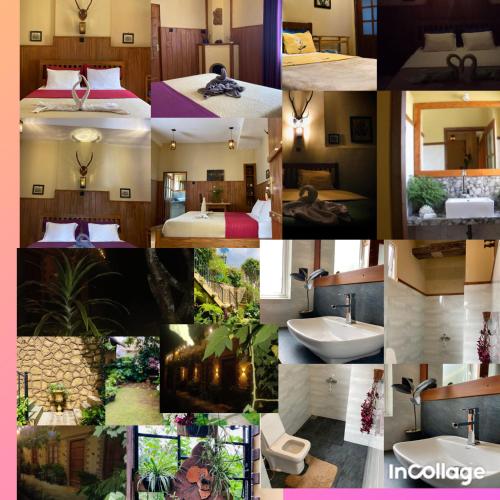 Lily Bank Cottage in Nuwara Eliya