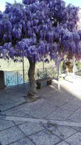 周邊環境, 拉卡薩帝米拉迪公寓 (La Casa di Milady) in 真紮諾羅馬