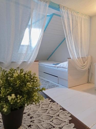 Twin Room with Shared Bathroom